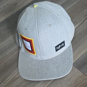 Bigtruck Gray Cap with Patch